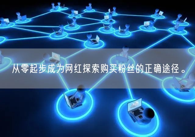 从零起步成为网红探索购买粉丝的正确途径。